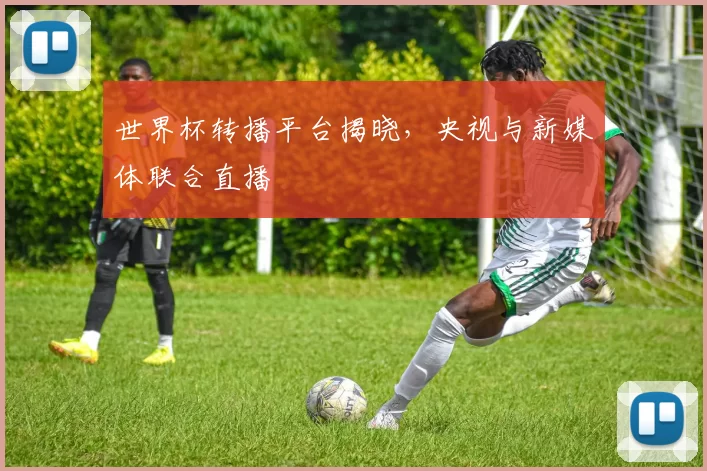 世界杯转播平台揭晓,央视与新媒体联合直播