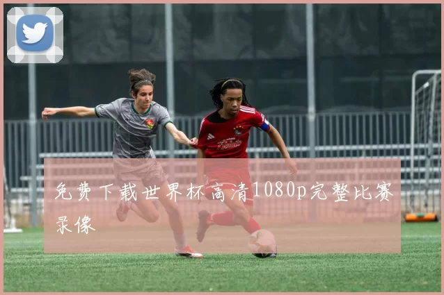 免费下载世界杯高清1080p完整比赛录像