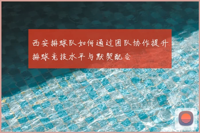 西安排球队如何通过团队协作提升排球竞技水平与默契配合
