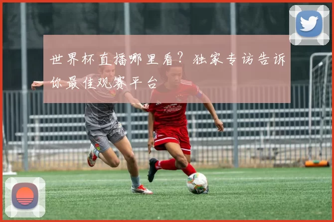 世界杯直播哪里看？独家专访告诉你最佳观赛平台