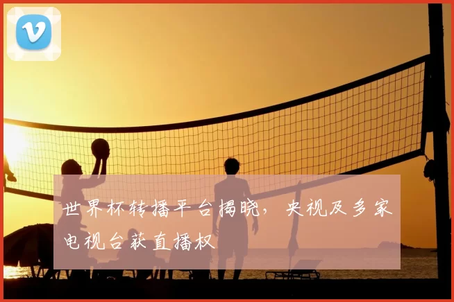世界杯转播平台揭晓，央视及多家电视台获直播权