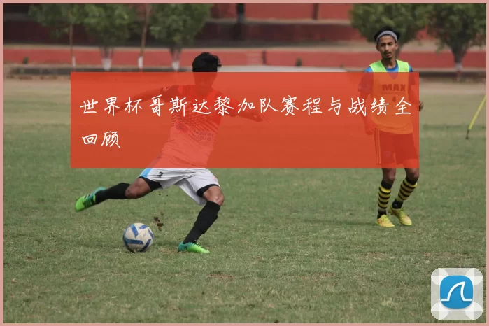 世界杯哥斯达黎加队赛程与战绩全回顾
