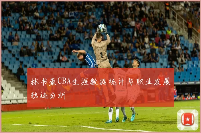 林书豪CBA生涯数据统计与职业发展轨迹分析